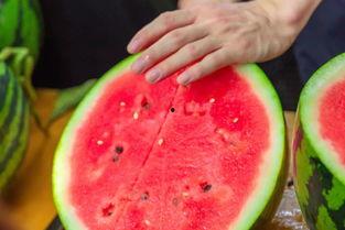 海南学校吃瓜,揭秘校园里的那些“秘密”