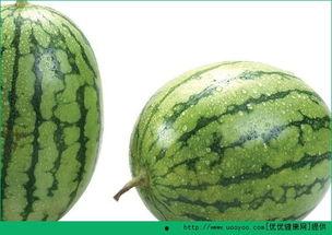 吃瓜过敏啊,揭秘瓜类食物背后的过敏之谜