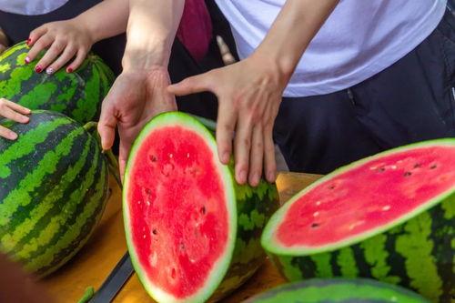 各校吃瓜视频,一网打尽各校热门视频瞬间