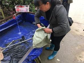 自驾游吃瓜群众,一路欢声笑语，共享美食时光