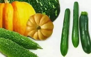 神墓吃瓜,吃瓜群众揭秘神秘世界背后的惊天秘密