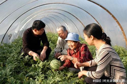 吃瓜大队副队长,揭秘娱乐圈幕后风云